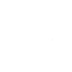 deloitte.com